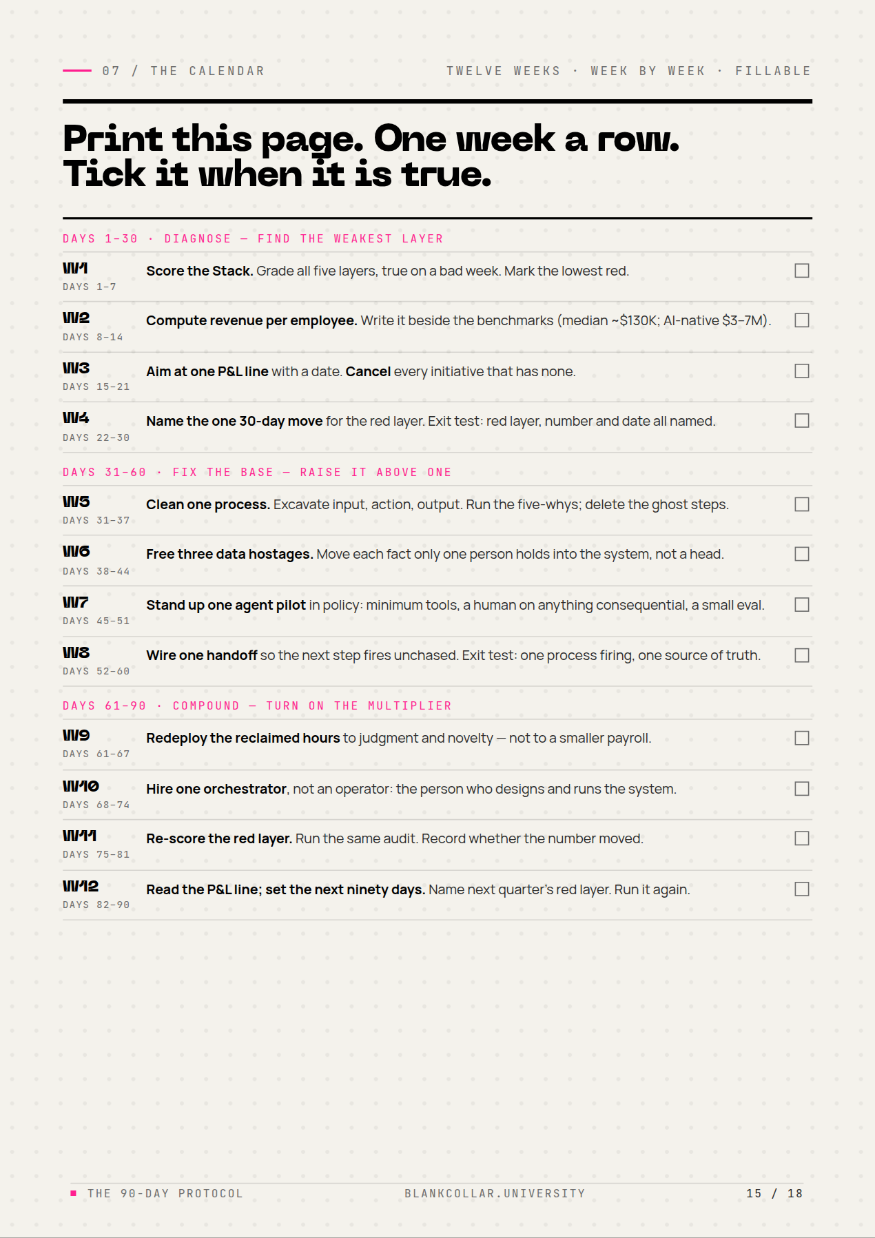 The 90-Day Protocol Vorschauseite 3